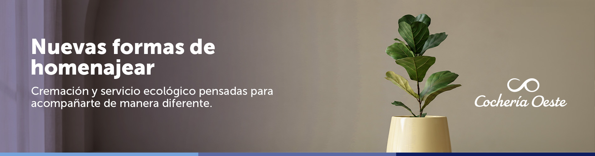 Banner nuevas alternativas